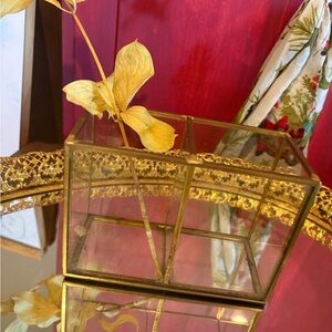 Vintage Gold Glass Display Box/ Holder